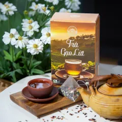 COMBO 3 HỘP Trà Gạo Lứt Tây Nguyên Food Hỗ Trợ Giảm Cân Thanh Lọc Cơ Thể Mát Gan Ngủ Ngon