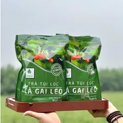 500 GRAM Trà cà gai leo Sadu NGUYÊN CHẤT,Trà túi lọc tiện lợi khi sử dụng