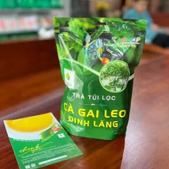 COMBO 2 TÚI Trà Túi Lọc SADU Cà Gai Leo Đinh Lăng 250g | Hộp 50 Túi Lọc Thảo Mộc Thiên Nhiên