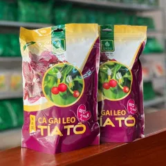 500 GRAM Trà cà gai leo TÍA TÔ Sadu ,Trà dạng túi lọc tiện lợi khi sử dụng hàng ngày