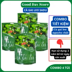 COMBO 4 TÚI Trà mát gan cà gai leo Sadu NGUYÊN CHẤT , Túi Lọc Tiện Lợi, Thảo Mộc Tự Nhiên