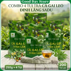 COMBO 4 TÚI Trà Cà Gai Leo Đinh Lăng SADU Túi Lọc | Trà Túi Lọc Thảo Mộc Dễ Pha Dùng Hằng Ngày