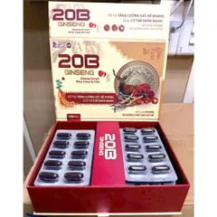 20B Ginseng bồi bổ cơ thể, ăn ngủ ngon, cho người suy nhược gầy mòn, thiếu máu, mệt mỏi, chán ăn, thời kỳ dưỡng bệnhh 