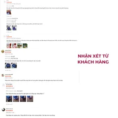 GEL MASSAGE XƯƠNG KHỚP PHỤC THỂ AN HỖ TRỢ VÀ GIẢM ĐAU NHỨC XƯƠNG KHỚP HIỆU QUẢ HỘP 50 g
