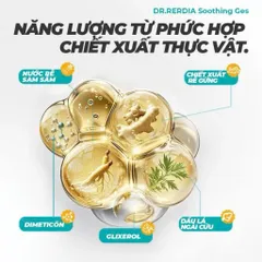 Gel Làm Dịu Dr Rerdia Soothing Gel Giúp Thư Giãn Vùng Cơ Khớp, Chiết Xuất Nhân Sâm Nghệ Ngải Cứu 30g
