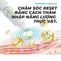 Gel Làm Dịu Dr Rerdia Soothing Gel Giúp Thư Giãn Vùng Cơ Khớp, Chiết Xuất Nhân Sâm Nghệ Ngải Cứu 30g