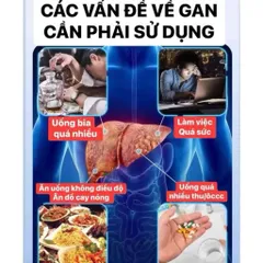 Miếng Dán Thai Doc Gan Thanh lọc ,Loại Bỏ Độc Tố Và Ngủ Ngon Giấc Hộp 5 Miếng