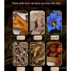 Miếng Dán Thai Doc Gan Thanh lọc ,Loại Bỏ Độc Tố Và Ngủ Ngon Giấc Hộp 5 Miếng