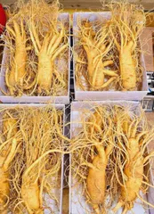 Sâm tươi Hàn Quốc 7 củ loại 1, 1kg - Thực phẩm chức năng tăng cường sức khỏe, hỗ trợ miễn dịch tự nhiên.