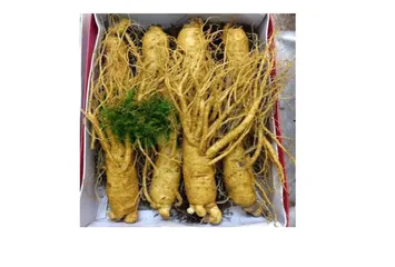 Sâm Tươi Hàn Quốc 8 Củ 1kg Loại 1 - Tăng Cường Sức Khỏe & Cải Thiện Tinh Thần - Thực Phẩm Chức Năng Chất Lượng Cao