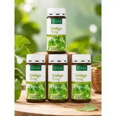 Viên uống bổ não Ginkgo Kapseln 75mg Sanct Bernhard Đức - 240V