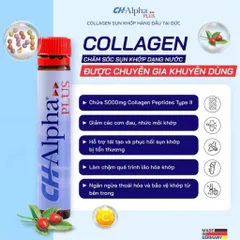Collagen hỗ trợ phục hồi sụn khớp Ch Alpha Plus của Đức Đức dạng nước - Hộp 30 ống
