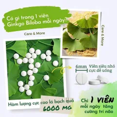 Viên uống bổ não Ginkgo Biloba 6000 Vit4ever tăng sức khỏe, tuần hoàn máu não,tăng cường trí nhớ, nội địa Đức - 365 Viên