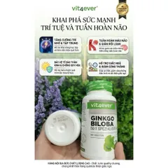 Viên uống bổ não Ginkgo Biloba 6000 Vit4ever tăng sức khỏe, tuần hoàn máu não,tăng cường trí nhớ, nội địa Đức - 365 Viên