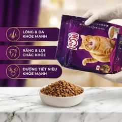 Thức Ăn Hạt Cho Mèo iOiShi Vị Cá Hồi & Thịt Gà – Protein 36% – Hạt Dinh Dưỡng Cho Mèo Trưởng Thành