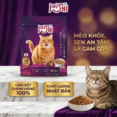 Thức Ăn Hạt Cho Mèo iOiShi Vị Cá Hồi & Thịt Gà – Protein 36% – Hạt Dinh Dưỡng Cho Mèo Trưởng Thành