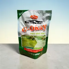 BỘT TẨY RONG RÊU CHO NỀN GẠCH XI MĂNG TƯỜNG 450g G-OKAY