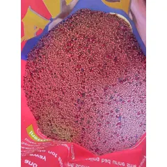 Tải 6 Túi Cát Mèo LUNA Cat Litter 9L - Cát Vệ Sinh Cho Mèo Khử Mùi, Vón Cục Siêu Nhanh