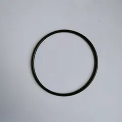 Gioăng cao su cốc lọc nước 20 inch