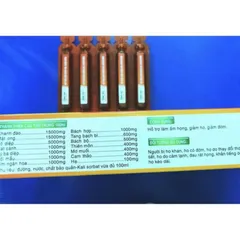 Siro Chanh đào mật ong TP Siro ong vàng gói giảm ho, giảm viêm họng hết khò khòe 
