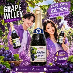 Nước Trái Cây Có Ga Grape Valley Ladofoods - Chai 750mil