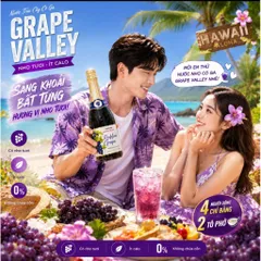 Nước Trái Cây Có Ga Grape Valley Ladofoods - Chai 750mil