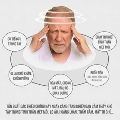 CAM KẾT CHÍNH HÃNG VIÊN Bổ Não focus factor nutrition for the brain 180 viên Mỹ 2027