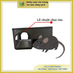 Hộp bắt chuột, hộp đặt bẫy chuột an toàn, thông minh, bảo vệ mồi và động vật xung quanh(Tái sử dụng)
