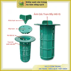 Hệ thống trạm bẫy mối IG dưới lòng đất In-Ground Station - IG chất liệu nhựa