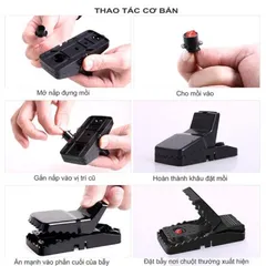 Combo 3 bẫy chuột kẹp nhựa thông minh