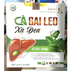 Viên Cà Gai Leo Xạ Đen Giải Độc Rượu Bảo Vệ Gan, bổ gan mát gan, giải độc, tăng cường chức năng 