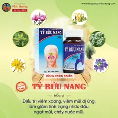 Tỷ Bửu Nang VĨNH QUANG - Viêm xoang, Viêm mũi dị ứng, Nghẹt mũi, Chảy nước mũi - Hộp 60 viên