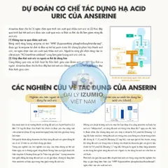 [Xuất kèm VAT] Viên Uống Hỗ Trợ Giảm Các Triệu Chứng Của Gout Nhật Bản Anserine Premium | Hộp 120 Viên