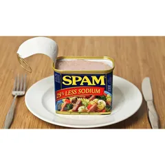 Thịt Hộp Spam Giảm Mặn của Mỹ 340g (Bao check hàng chính hãng USA))