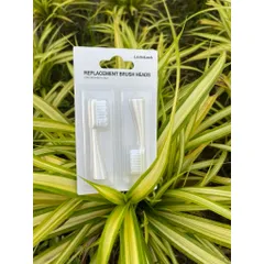 ĐẦU BÀN CHẢI ĐIỆN LOCKNLOCK ENR344BRS