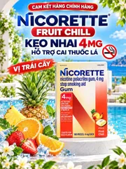 KẸO CAO SU HỖ TRỢ GIẢM CƠN THÈM NICORETTE GUM 4MG HƯƠNG TRÁI CÂY (HỘP 100 VIÊN) – NỘI ĐỊA MỸ