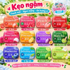 Hộp kẹo ngậm 16g 12 vị