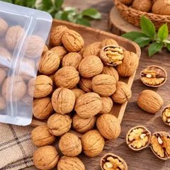 500g NHÂN ÓC CHÓ VÀNG Đã Tuyển Chọn Kỹ nhà Mẹ Tôm store