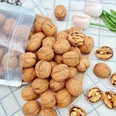500gram Nhân Óc Chó Vàng Mỹ Đã Tuyển Chọn Kỹ Loại bỏ Hạt Hư nhà Mẹ Tôm Store