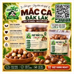 500gram MACCA DAKLAK ( Đã Siêu Âm Lõi Giảm 95% Hạt Hư ) ShopMT.METOMSTORE