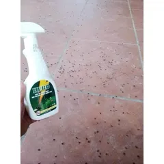 Chai xịt thông minh diệt, đặc trị ruồi, nhặng, gián, côn trùng 350ml