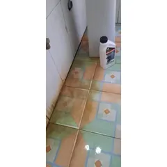 Tẩy đa năng, xi măng, canxi, sơn, cặn bẩn, rêu, vết ố Vương Triều 800ml