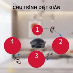 Viên diệt gián Nhật 12 viên, an toàn cho mọi người và vật nuôi