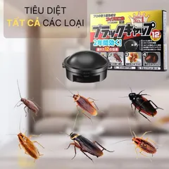 Viên diệt gián Nhật 12 viên, an toàn cho mọi người và vật nuôi