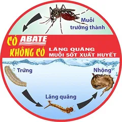 (Chính hãng)Thuốc diệt lăng quăng bọ gậy muỗi ABATE 1SG 500g-chuyên xử lý ao, hồ, cống, rãnh