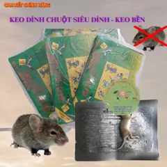 Keo dính CHUỘT - Siêu Dính - Miếng keo dán chuột - Miếng bẫy chuột- keo tốt Lớp keo dày