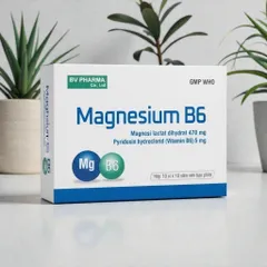 Magnesium B6 BV Pharma Hộp 100 Viên (10 Vỉ x 10 Viên)