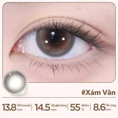 Lens 1 ngày màu xám vân giãn tròng 14.5mm