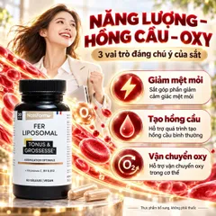 Nat&Form Fer Liposomal 60 Viên Bổ Sung Sắt Liposomal, Vitamin C B9 B12
