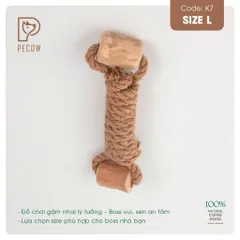 Que 2 khúc từ gỗ cà phê bện dây ở giữa K7 - Size L - Làm sạch răng, giải stress cho boss